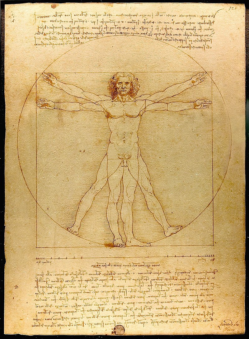 Leonardo da Vinci Uomo Vitruviano page - enlarge